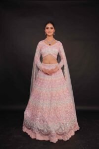 Ombre Blush Pink Luxe Lehenga Set