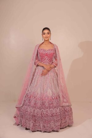 Ombre Wine Tulle Lehenga with Resham & Pearl Embellishments