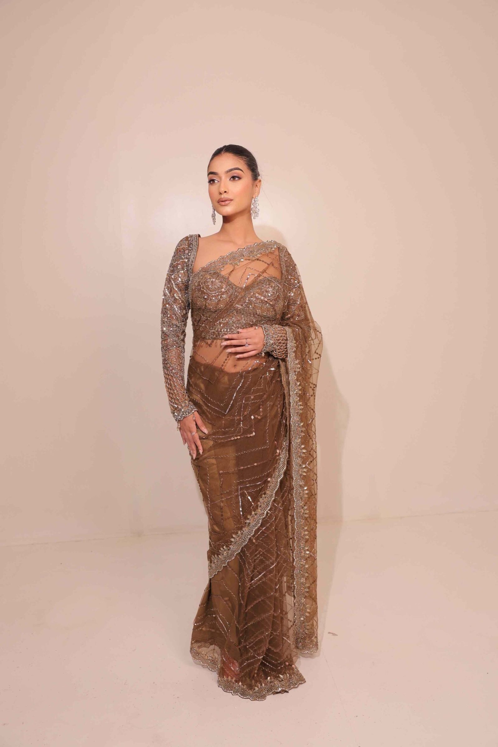 Brown Sequin & Rhinestone Tulle Saree
