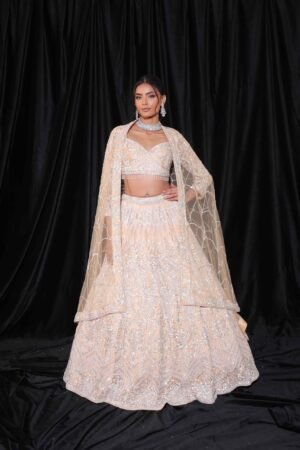 Champagne Glow Embellished Lehenga