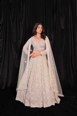 Celestial Shimmer Lehenga