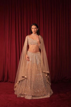 Champagne Sheen Lehnega